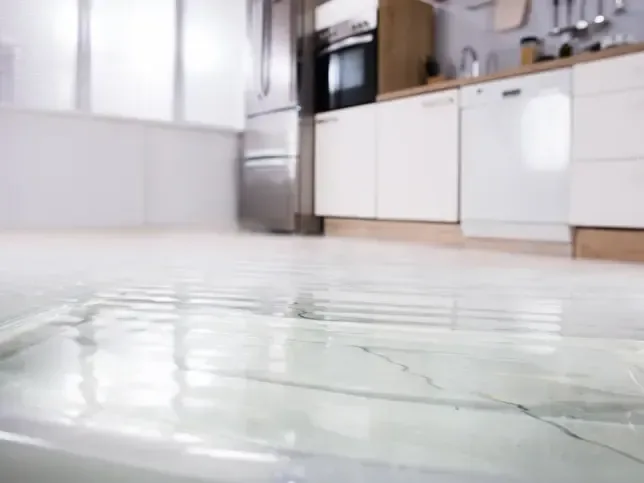 Water pooled across a kitchen floor from a leaking appliance