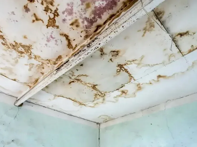 Brown water stains spreading across a ceiling below a leak